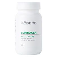 モデーア エキナセア *