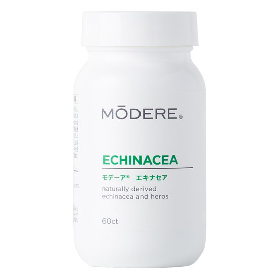 モデーア エキナセア *